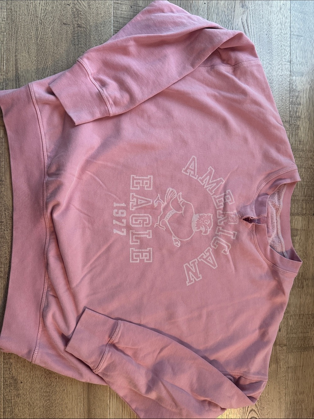American Eagle Outfitters Dusty Pink Graphic Crewneck Sweatshirt